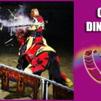 Camelot Dinner Show Rainbow Magicland