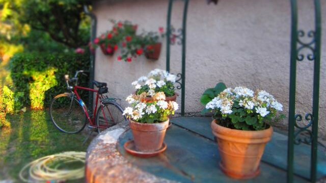 Particolari Bed & Breakfast Tobia Cave (Roma)
